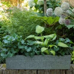 Embossed Galvanised Window Trough -Plants Shop pr2000018441 card3 lg