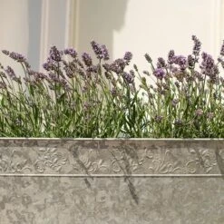 Embossed Galvanised Window Trough -Plants Shop pr2000018441 card4 lg