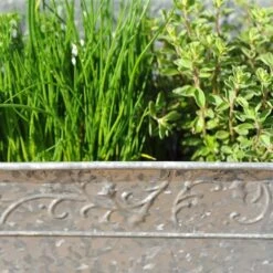 Embossed Galvanised Window Trough -Plants Shop pr2000018441 card6 lg