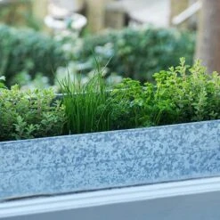Embossed Galvanised Window Trough -Plants Shop pr2000018441 card9 lg