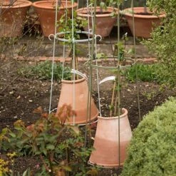 Clematis Root Protector 9 Clematis Root Protector -Plants Shop pr2000020697 card3 lg