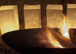 Cast Iron Oval Fire Pit -Plants Shop pr2000022601 card4 lg