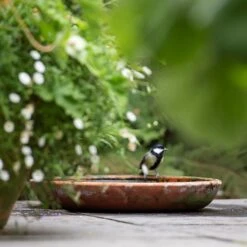 Terracotta Saucer -Plants Shop pr2000022770 card6 lg