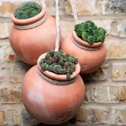 Terracotta Babylon Hanging Pot -Plants Shop pr2000023695 card4 lg
