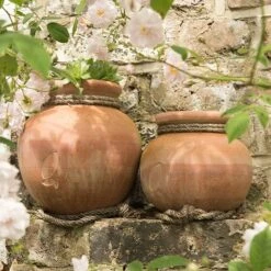 Terracotta Babylon Hanging Pot -Plants Shop pr2000023695 card7 lg