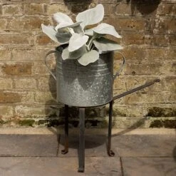 Open Fire Cooking Tripod -Plants Shop pr2000025899 card10 lg