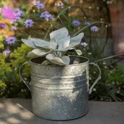 Galvanised Planter With Handles -Plants Shop pr2000026340 card3 lg