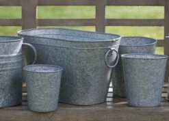 Galvanised Metal Trough 8 Galvanised Metal Trough -Plants Shop pr2000026345 card4 lg