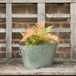 Galvanised Metal Trough 9 Galvanised Metal Trough -Plants Shop pr2000026345 card5 lg