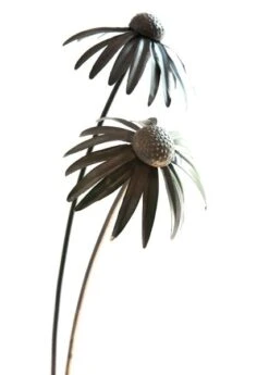 Echinacea Plant Stake - Antique Bronze 17 Echinacea Plant Stake - Antique Bronze -Plants Shop pr2000026357 card9 lg