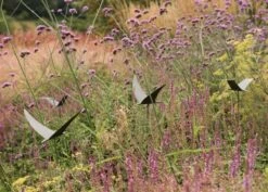 Silhouette Flying Bird -Plants Shop pr2000026361 card3 lg