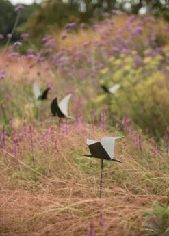 Silhouette Flying Bird -Plants Shop pr2000026361 card4 lg