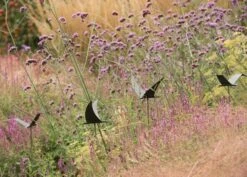 Silhouette Flying Bird -Plants Shop pr2000026361 card5 lg