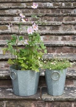 Faceted Galvanised Planter -Plants Shop pr2000027856 card4 lg