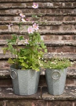 Faceted Galvanised Planter -Plants Shop pr2000027856 card5 lg