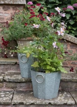 Faceted Galvanised Planter -Plants Shop pr2000027856 card6 lg