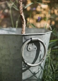 Faceted Galvanised Planter -Plants Shop pr2000027856 card8 lg