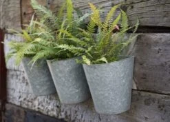 Galvanised Wall Planters - Set Of 3 9 Galvanised Wall Planters - Set Of 3 -Plants Shop pr2000027861 card3 lg