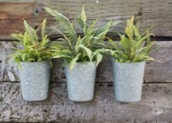 Galvanised Wall Planters - Set Of 3 10 Galvanised Wall Planters - Set Of 3 -Plants Shop pr2000027861 card4 lg
