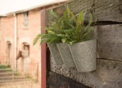 Galvanised Wall Planters - Set Of 3 11 Galvanised Wall Planters - Set Of 3 -Plants Shop pr2000027861 card5 lg