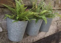 Galvanised Wall Planters - Set Of 3 12 Galvanised Wall Planters - Set Of 3 -Plants Shop pr2000027861 card6 lg