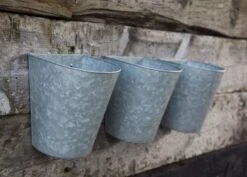 Galvanised Wall Planters - Set Of 3 13 Galvanised Wall Planters - Set Of 3 -Plants Shop pr2000027861 card7 lg
