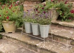 Three Galvanised Pots And Stand 8 Three Galvanised Pots And Stand -Plants Shop pr2000027863 card4 lg