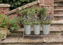 Three Galvanised Pots And Stand 9 Three Galvanised Pots And Stand -Plants Shop pr2000027863 card5 lg