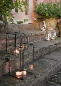 Candle Lantern -Plants Shop pr2000027870 card3 lg