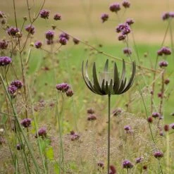 Flower Stake Tealight Holder 14 Flower Stake Tealight Holder -Plants Shop pr2000027887 card5 lg