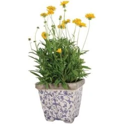 Aged Ceramic Flower Pots - Set Of 3 -Plants Shop pr2000028008 card3 lg