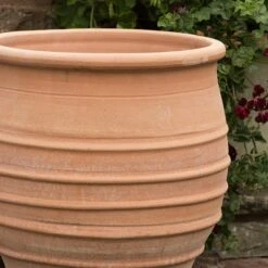 Fraska Terracotta Pot 6 Fraska Terracotta Pot -Plants Shop pr2000028347 card3 lg