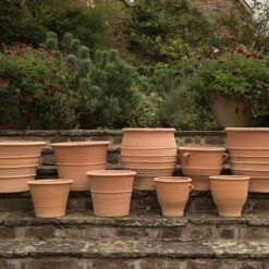 Monachou Fardipati Terracotta Pot -Plants Shop pr2000028348 card4 lg