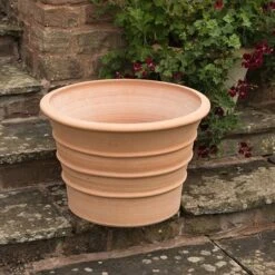 Monachou Fardipati Terracotta Pot -Plants Shop pr2000028348 card5 lg