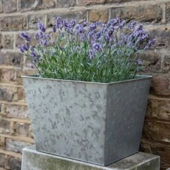 Galvanised Planter -Plants Shop pr2000028358 card4 lg