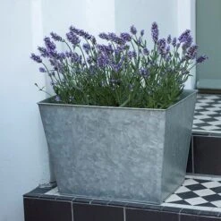 Galvanised Planter -Plants Shop pr2000028358 card7 lg