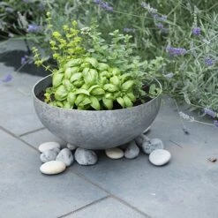 Sphere Planter With Stand -Plants Shop pr2000028371 card8 lg