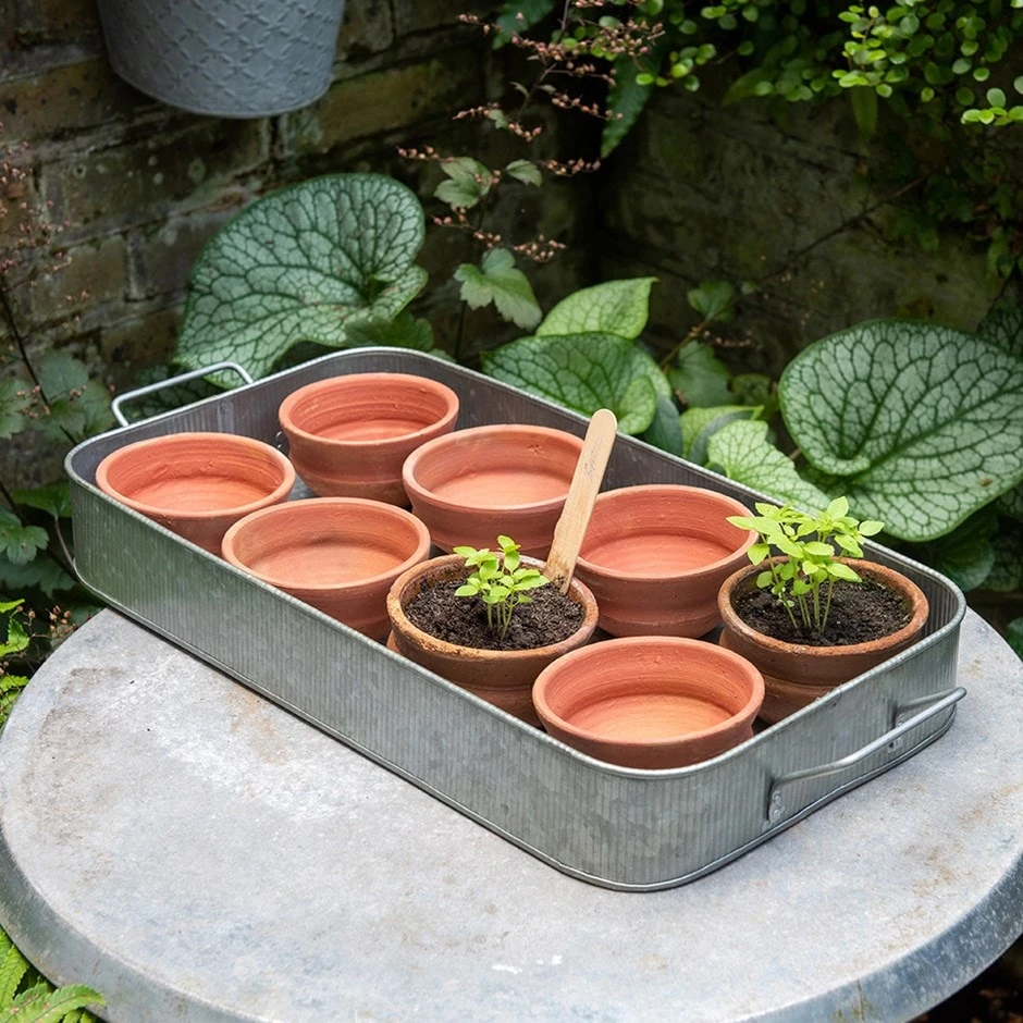 Terracotta Grow Pots - Set Of 8 With Tray 1 Terracotta Grow Pots - Set Of 8 With Tray