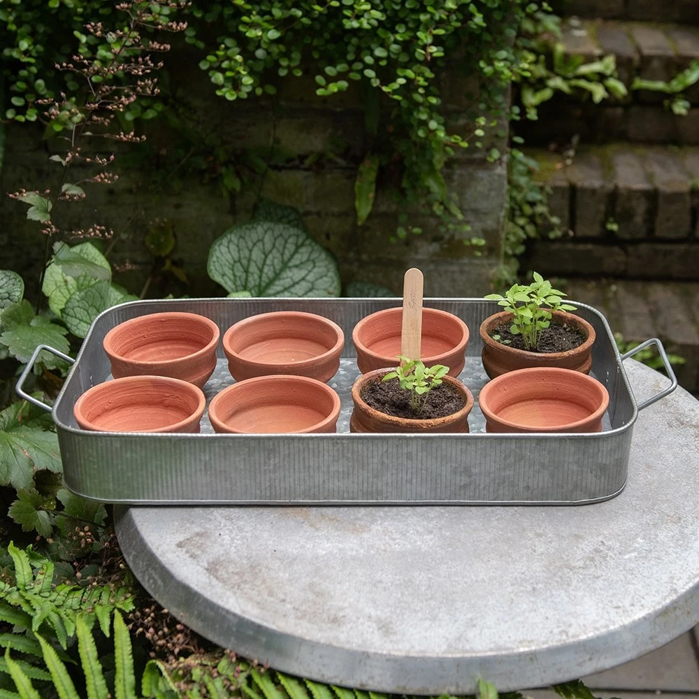 Terracotta Grow Pots - Set Of 8 With Tray 2 Terracotta Grow Pots - Set Of 8 With Tray - Image 2