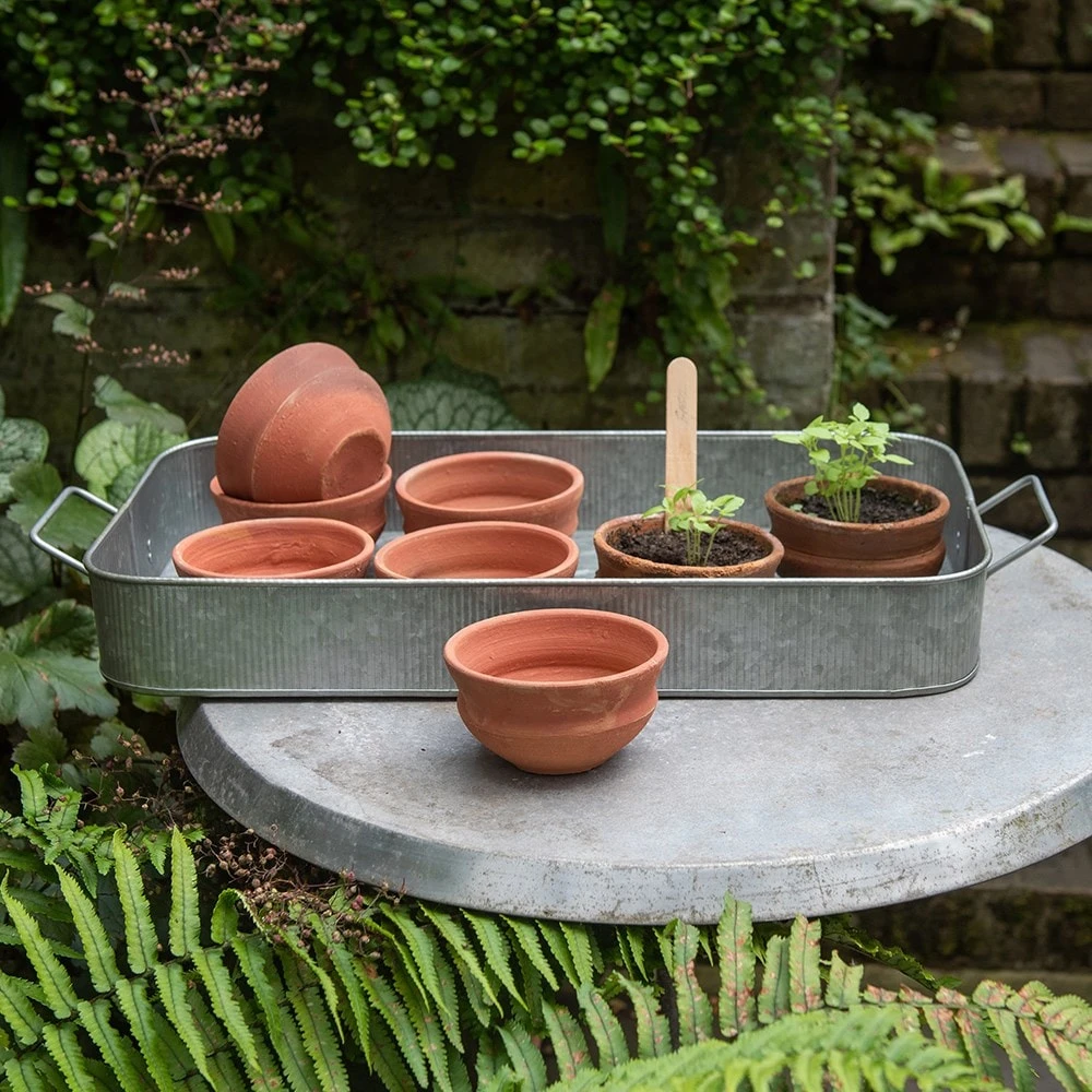 Terracotta Grow Pots - Set Of 8 With Tray 3 Terracotta Grow Pots - Set Of 8 With Tray - Image 3