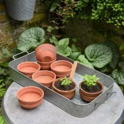 Terracotta Grow Pots - Set Of 8 With Tray 12 Terracotta Grow Pots - Set Of 8 With Tray -Plants Shop pr2000028372 card4 lg