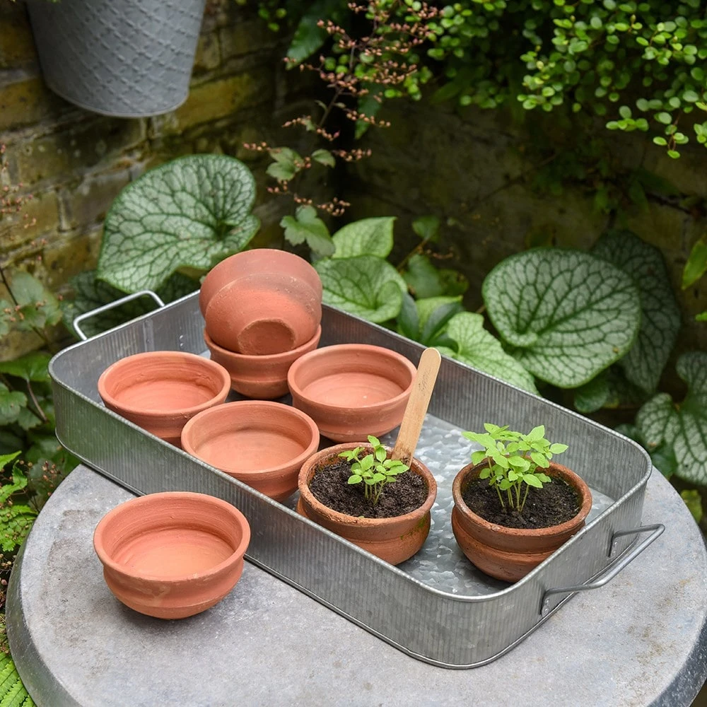 Terracotta Grow Pots - Set Of 8 With Tray 4 Terracotta Grow Pots - Set Of 8 With Tray - Image 4