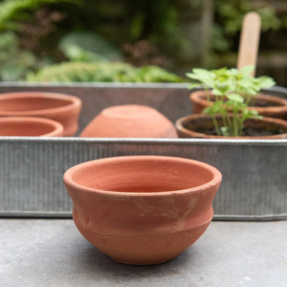 Terracotta Grow Pots - Set Of 8 With Tray 5 Terracotta Grow Pots - Set Of 8 With Tray - Image 5