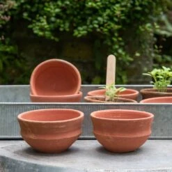 Terracotta Grow Pots - Set Of 8 With Tray 14 Terracotta Grow Pots - Set Of 8 With Tray -Plants Shop pr2000028372 card6 lg