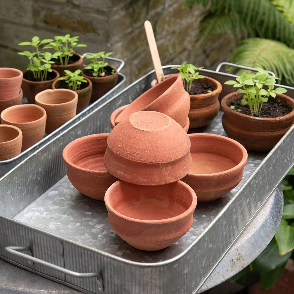Terracotta Grow Pots - Set Of 8 With Tray 7 Terracotta Grow Pots - Set Of 8 With Tray - Image 7