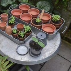 Terracotta Grow Pots - Set Of 8 With Tray 16 Terracotta Grow Pots - Set Of 8 With Tray -Plants Shop pr2000028372 card8 lg