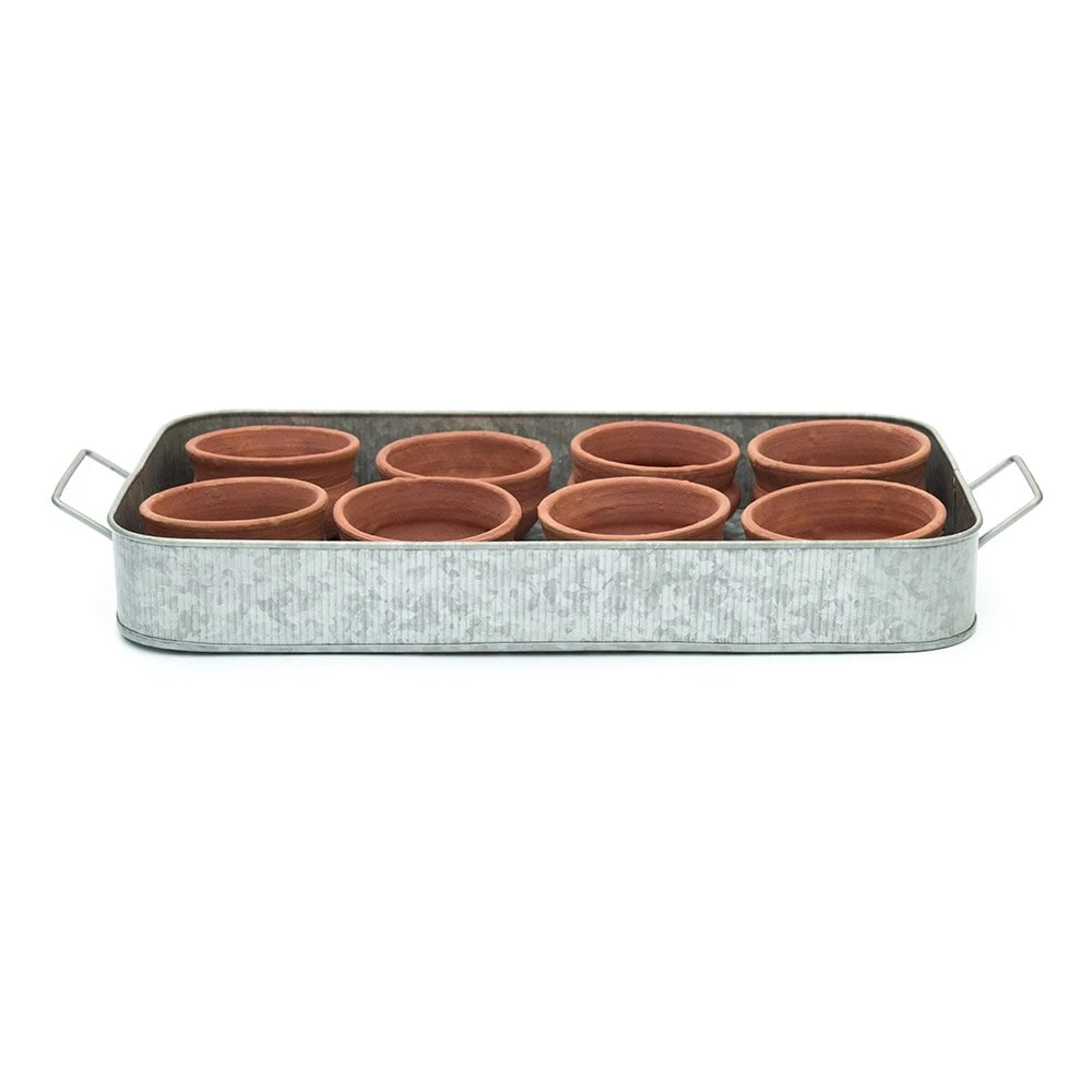 Terracotta Grow Pots - Set Of 8 With Tray 9 Terracotta Grow Pots - Set Of 8 With Tray - Image 9