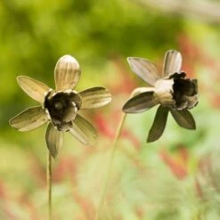 Daffodil Flower Stake - Antique Brass -Plants Shop pr2000028377 card3 lg