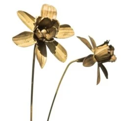 Daffodil Flower Stake - Antique Brass -Plants Shop pr2000028377 card5 lg