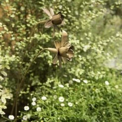 Daffodil Flower Stake - Antique Brass -Plants Shop pr2000028377 card7 lg